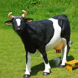 Krowa do dojenia