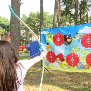 Strzelnica Angry Birds